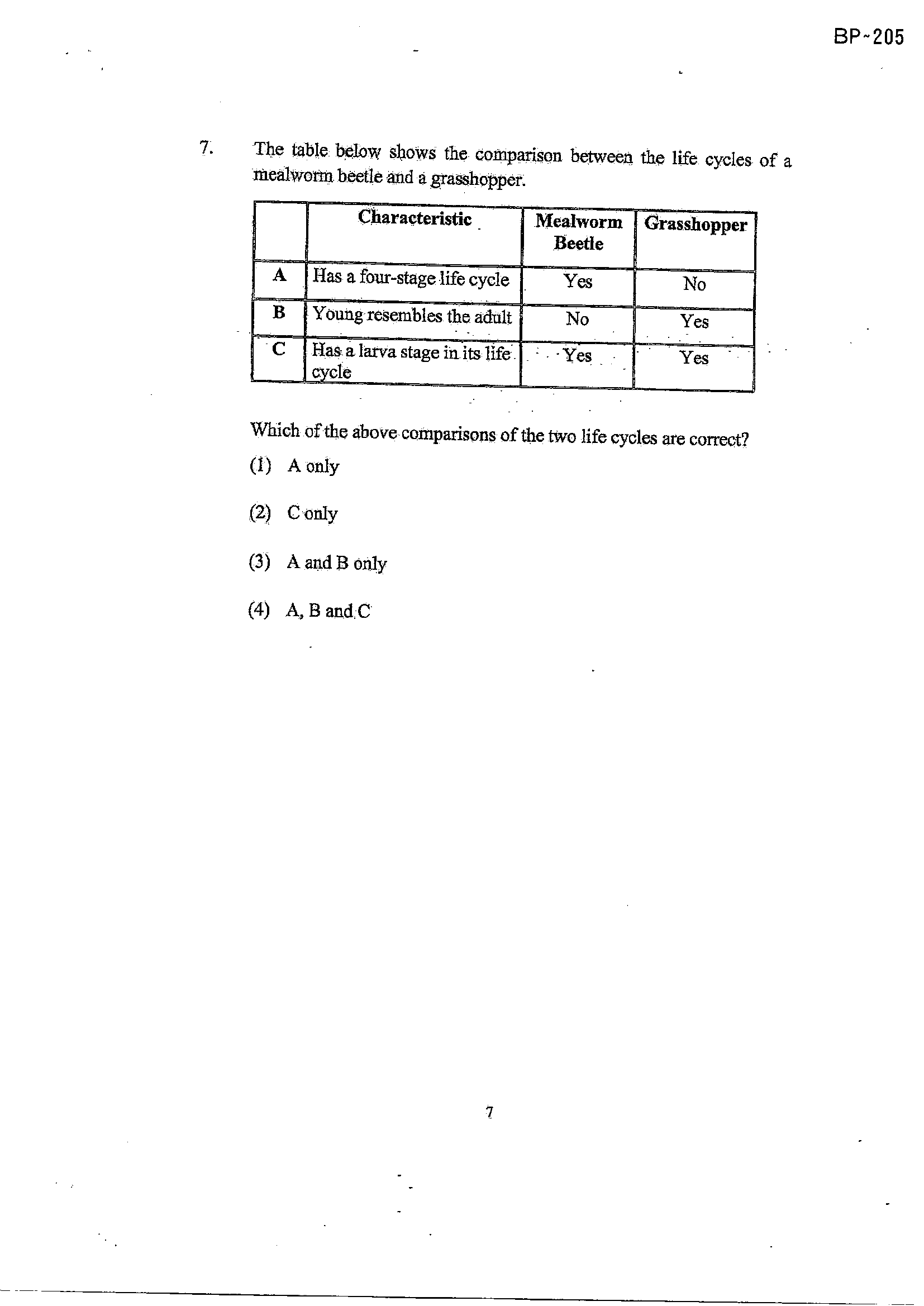 Page 7