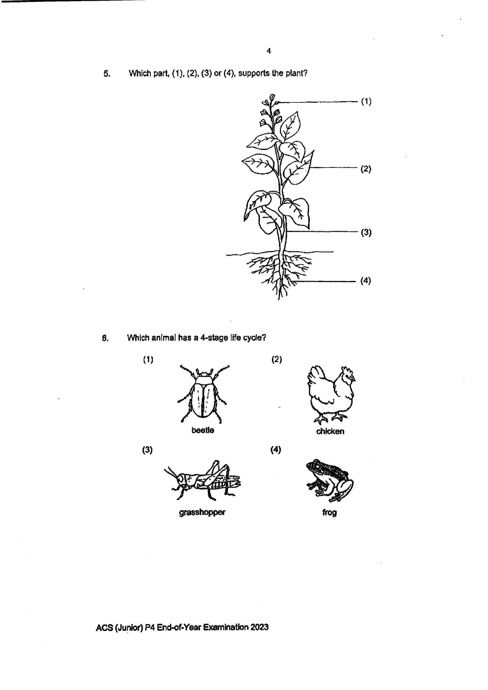 Page 4