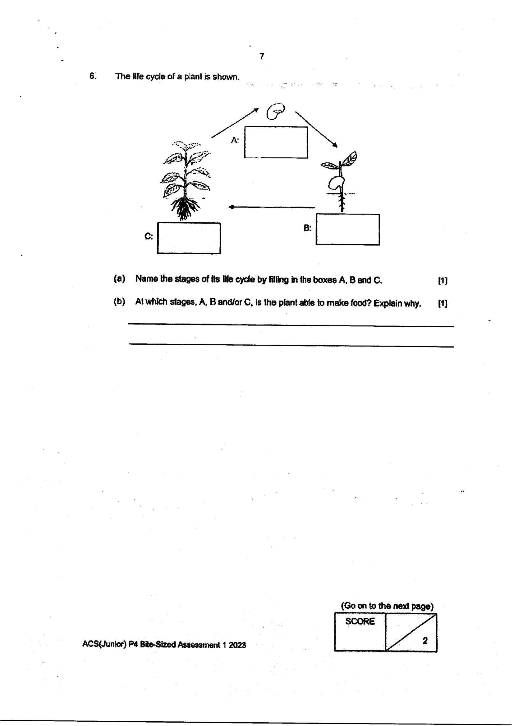 Page 7