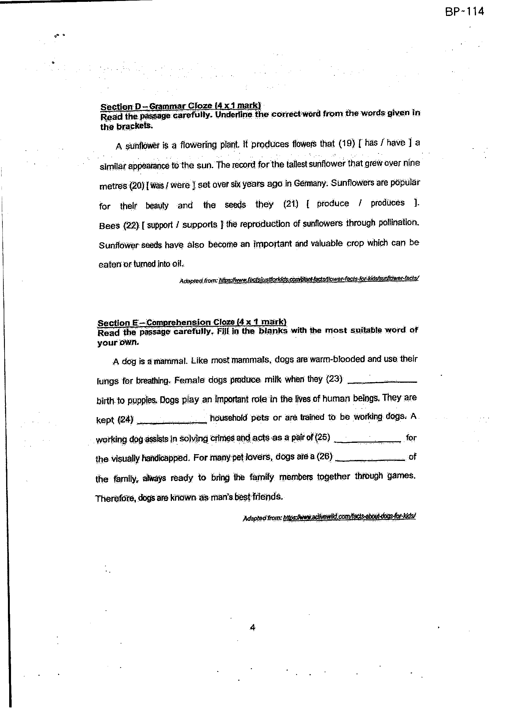Page 6
