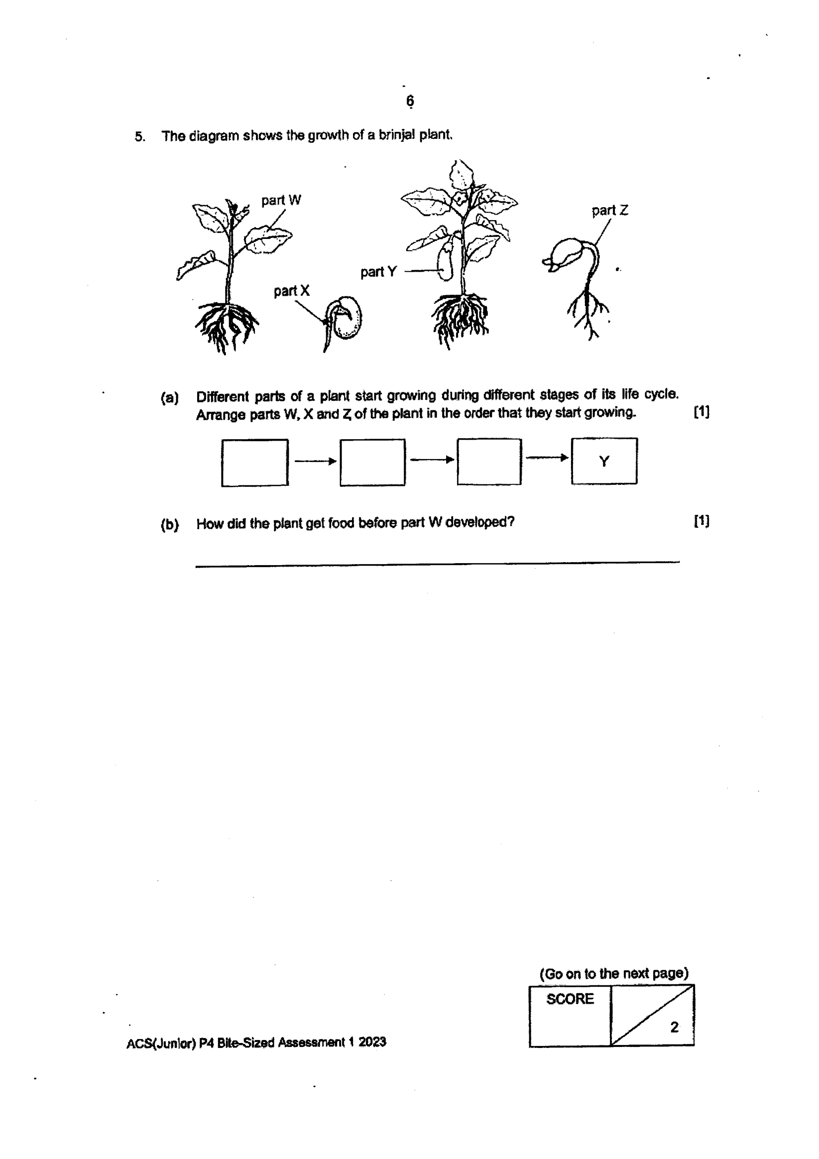 Page 6