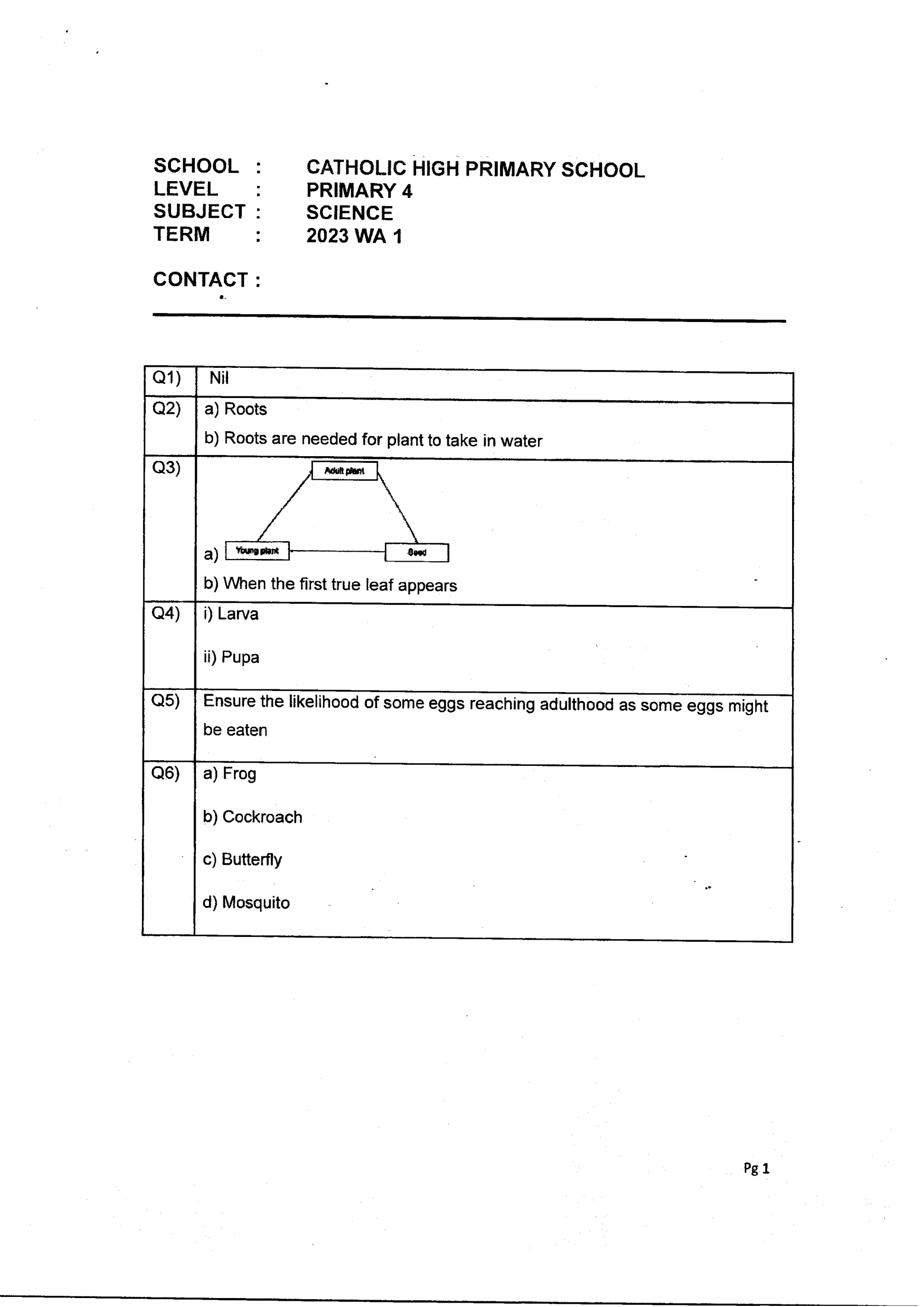 Answer Page 23