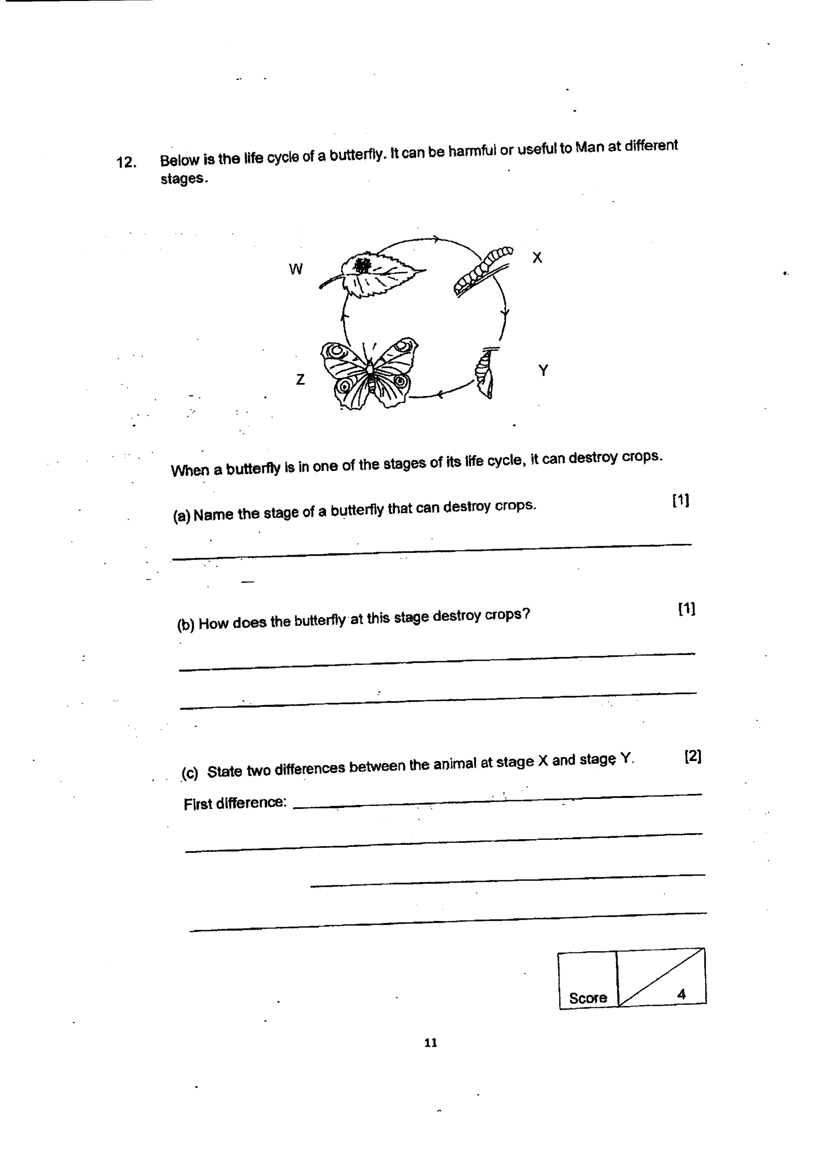 Page 12