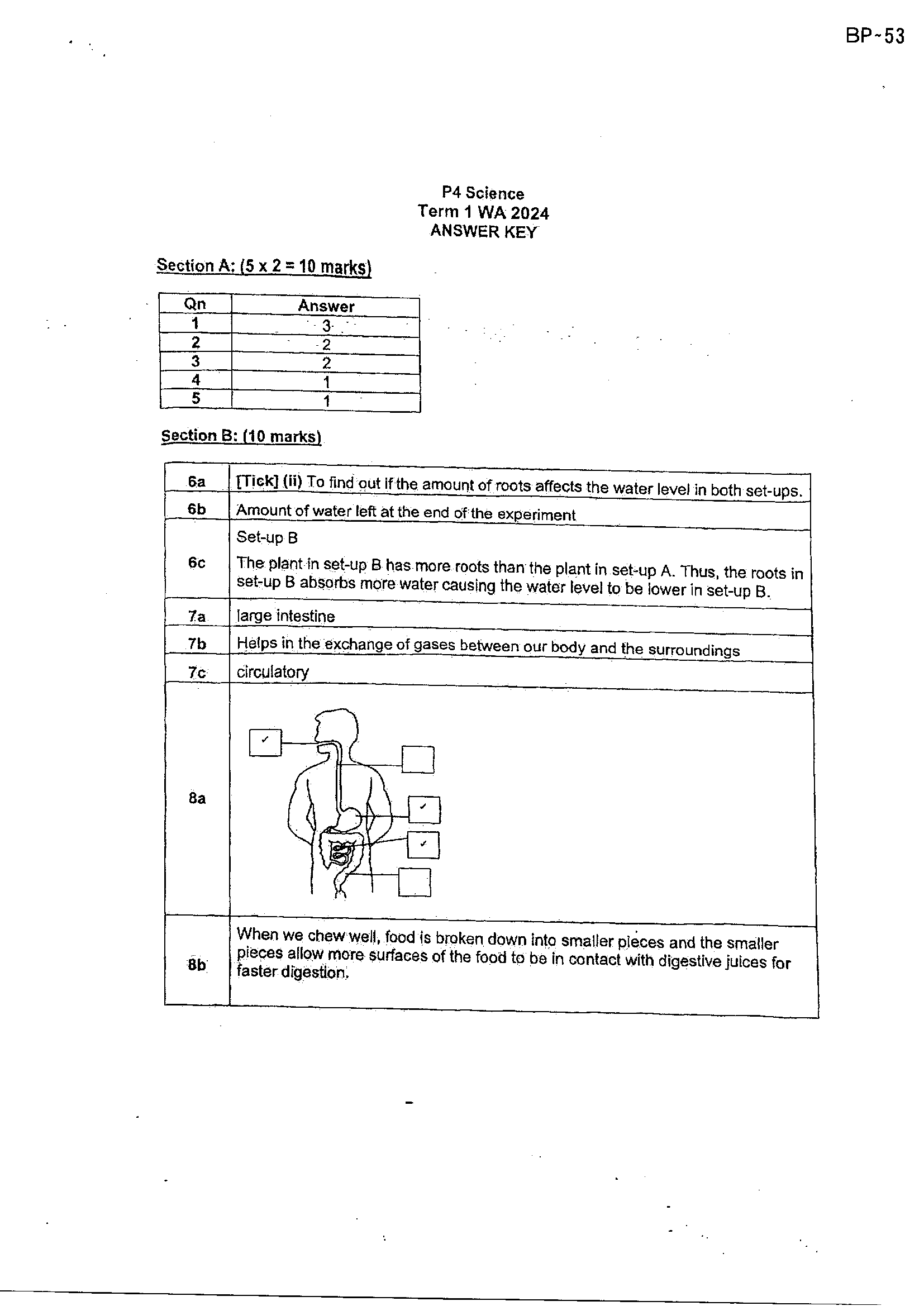 Answer Page 11
