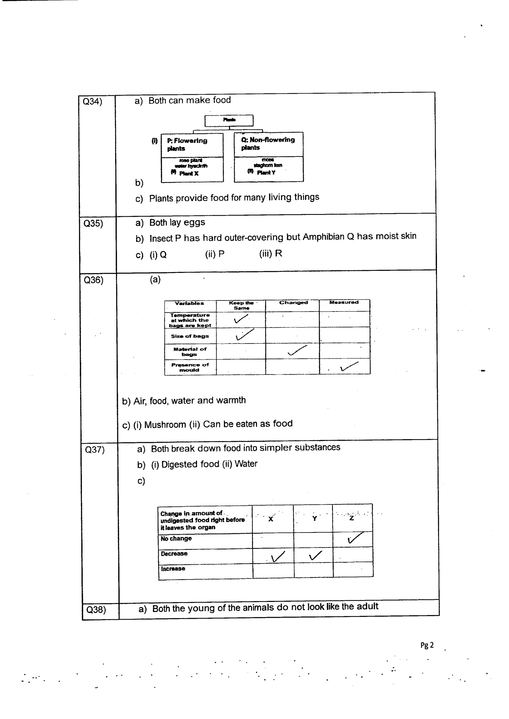 Answer Page 42