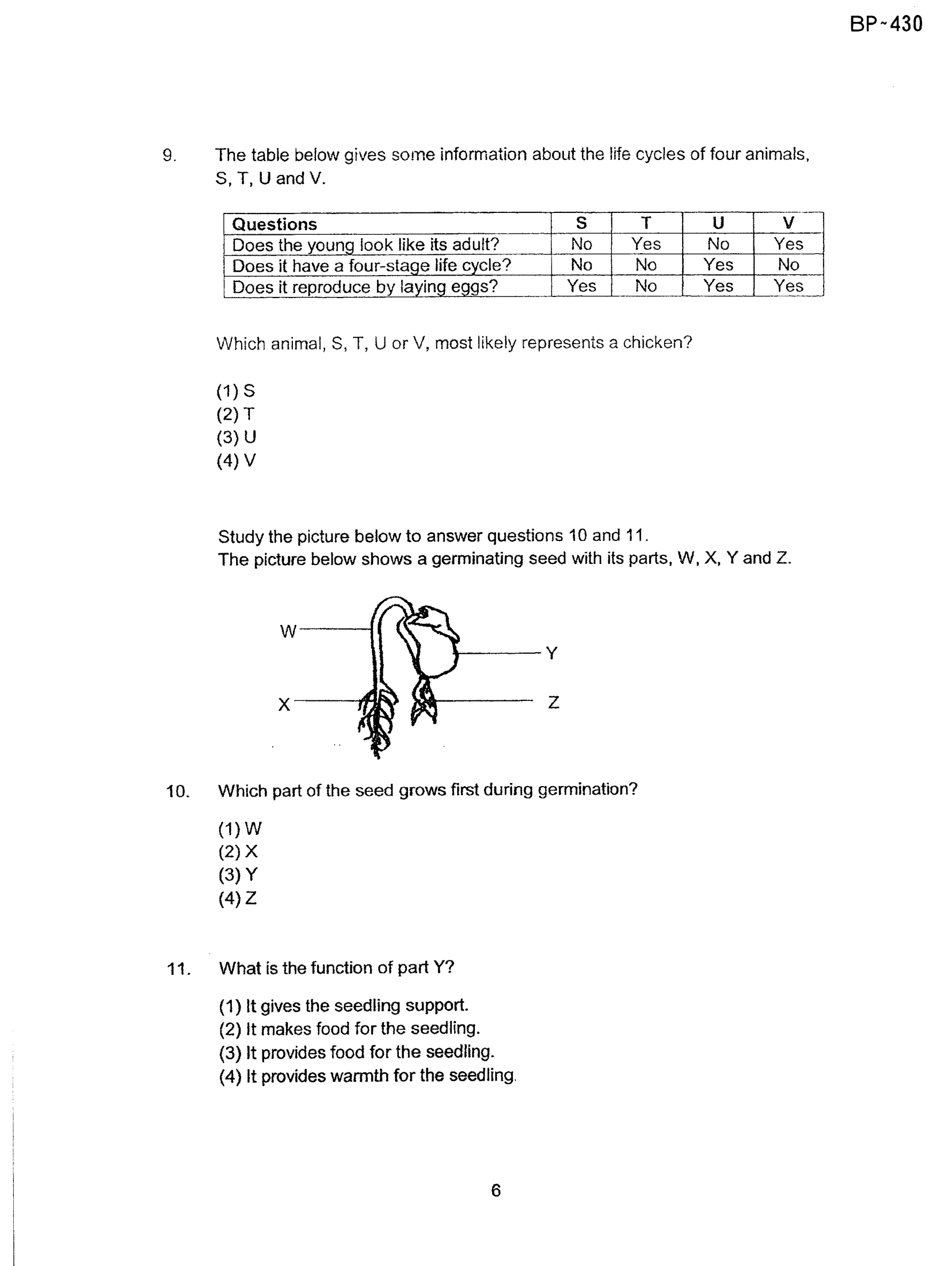Page 6