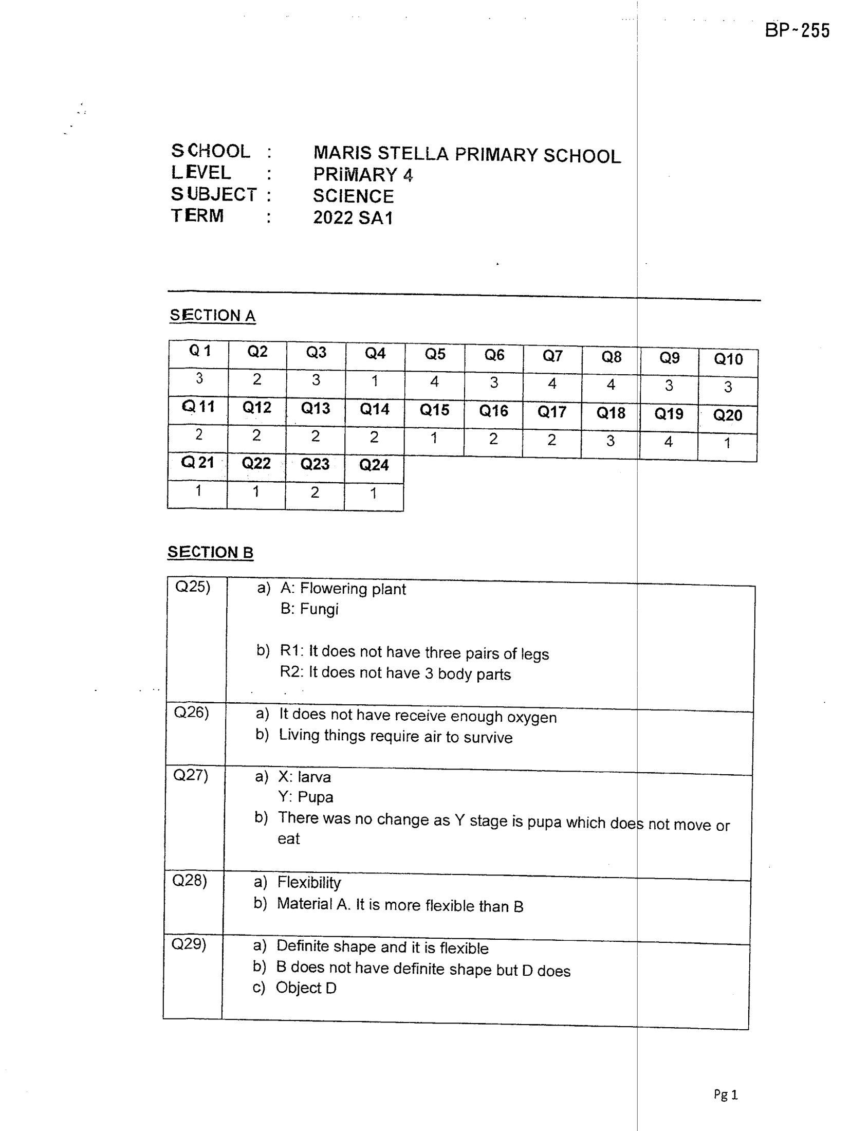 Answer Page 31