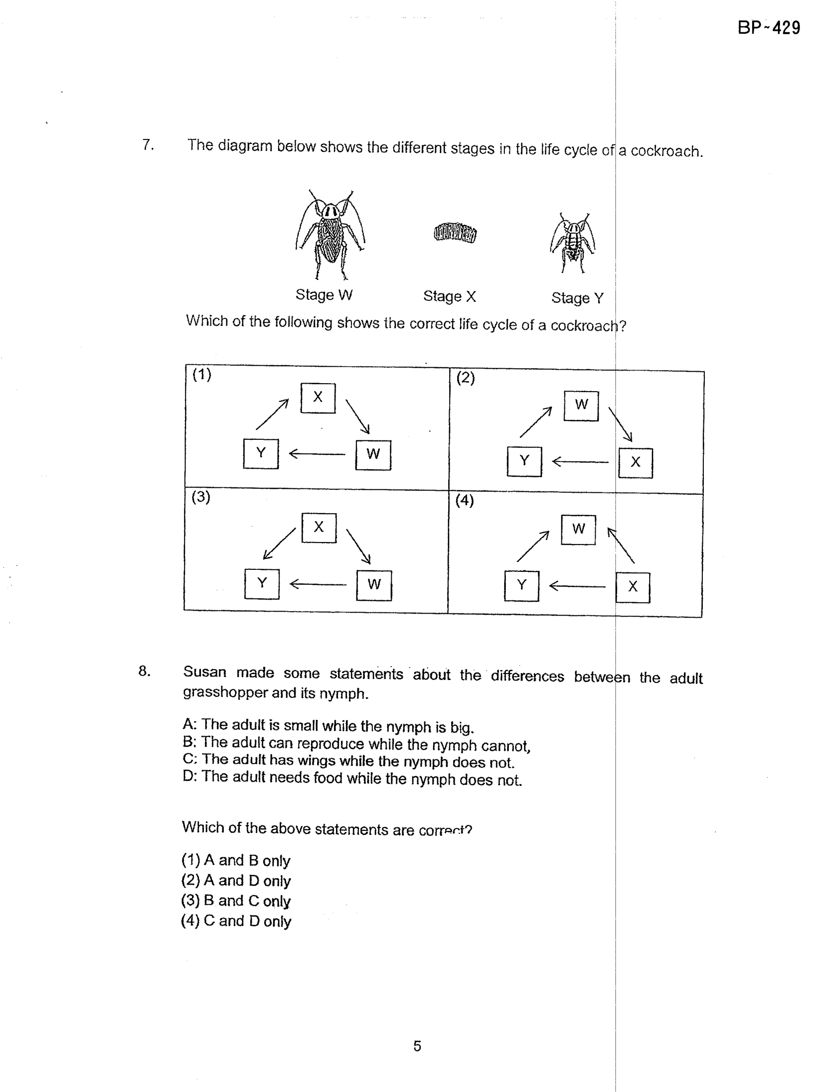 Page 5
