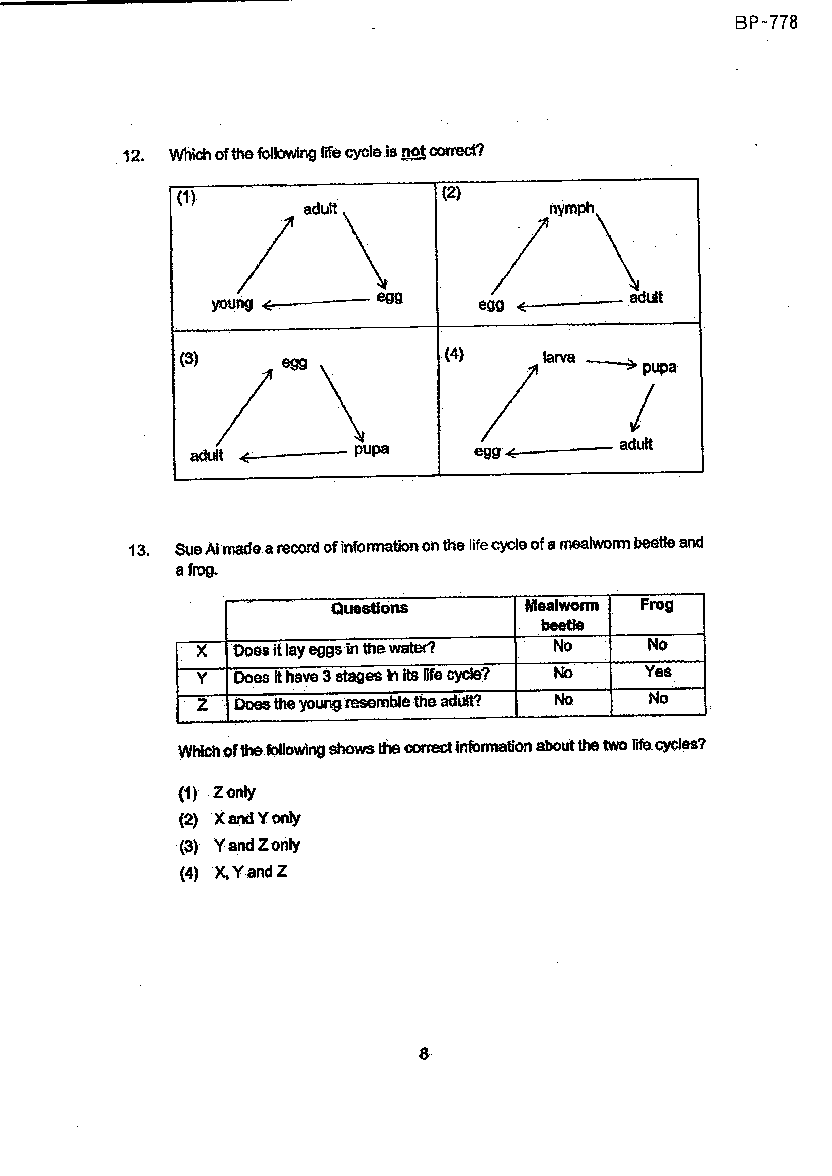 Page 8