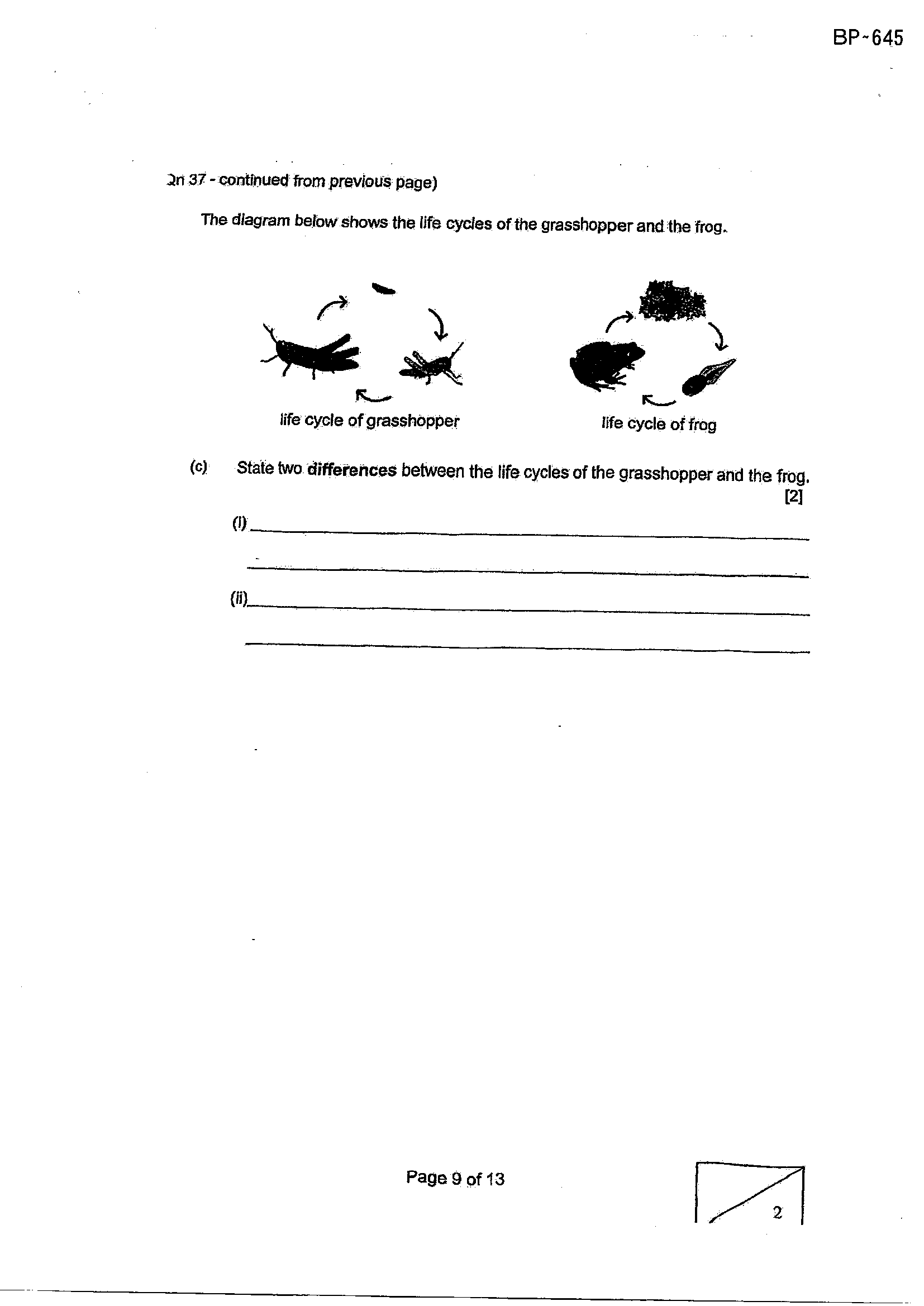 Page 25
