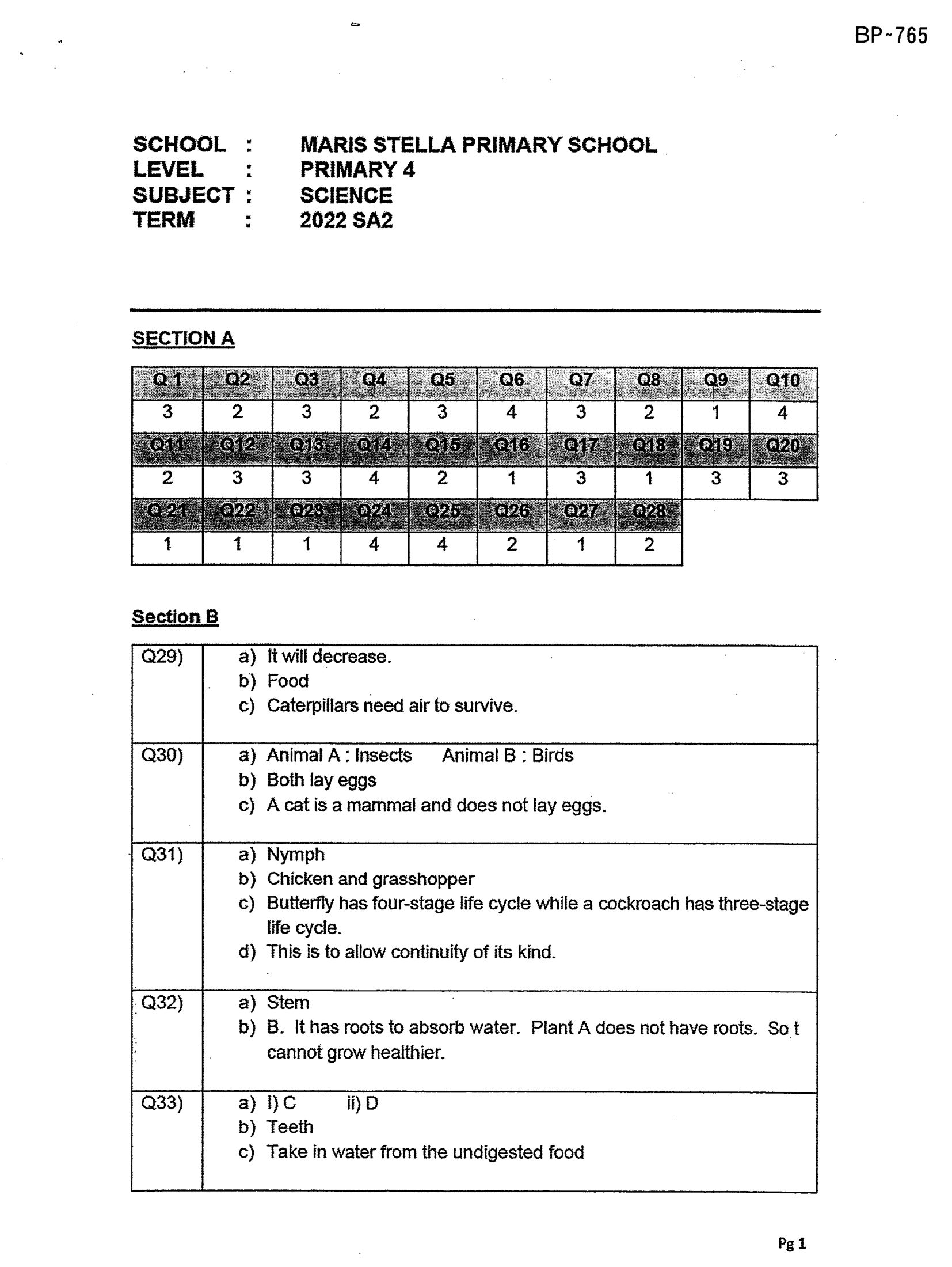 Answer Page 31