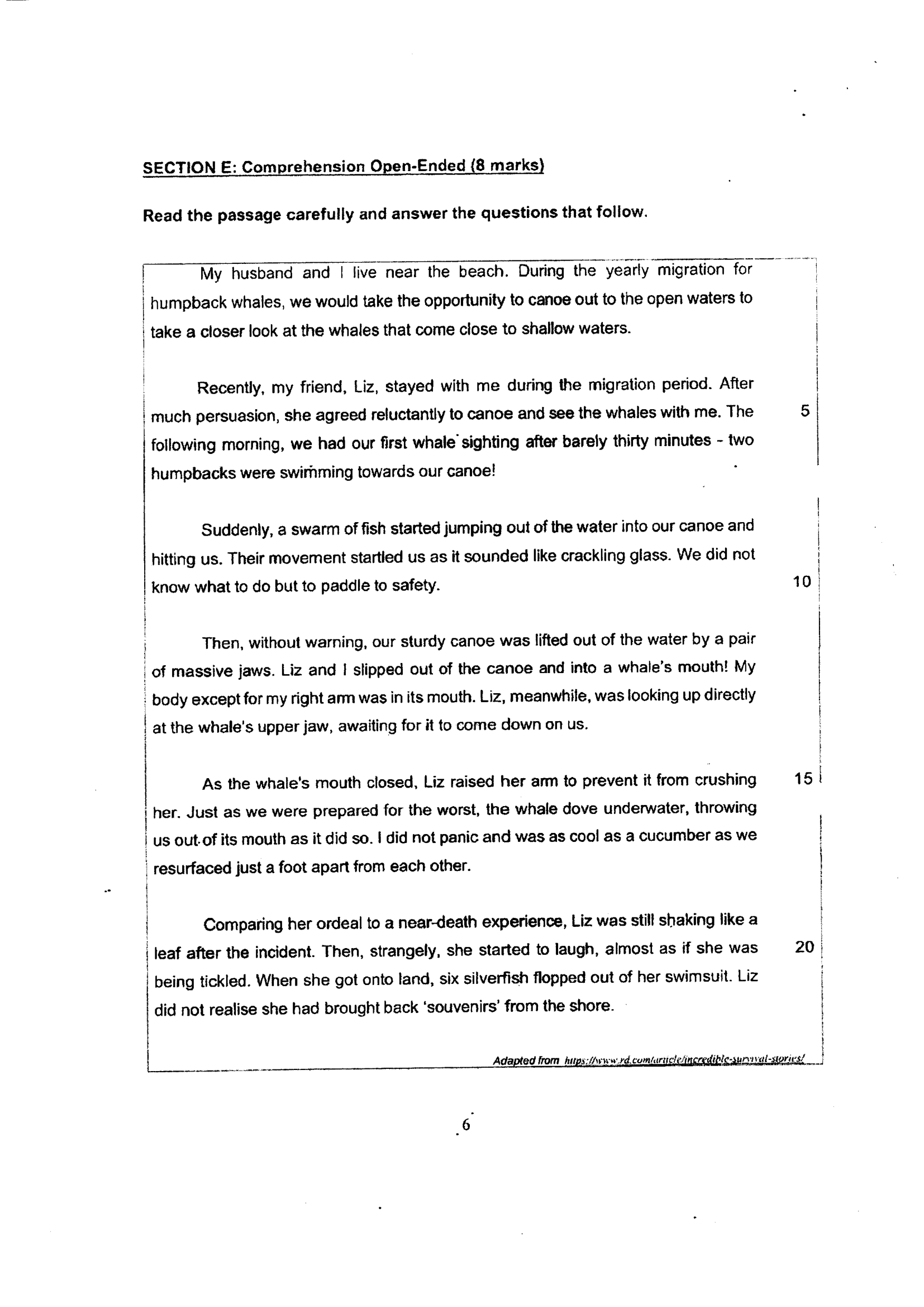 Page 6