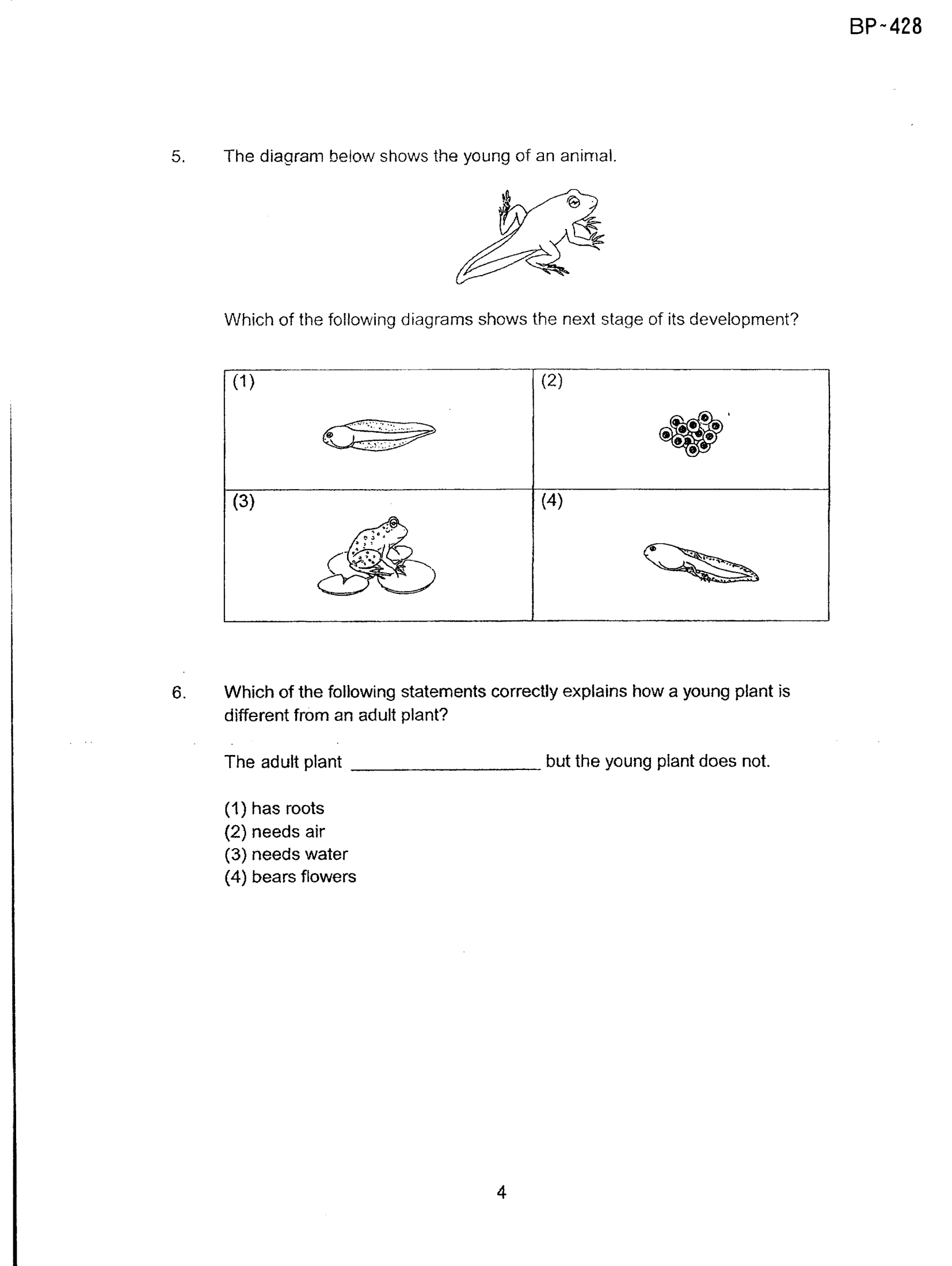 Page 4