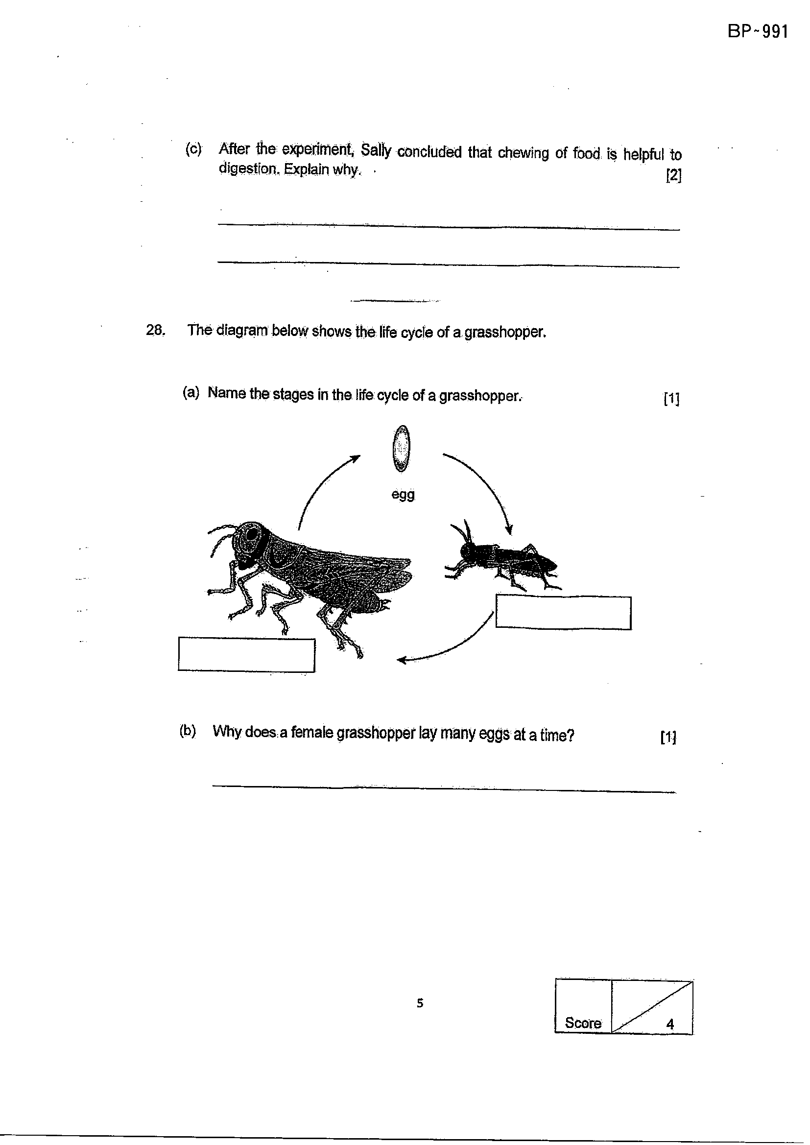 Page 21