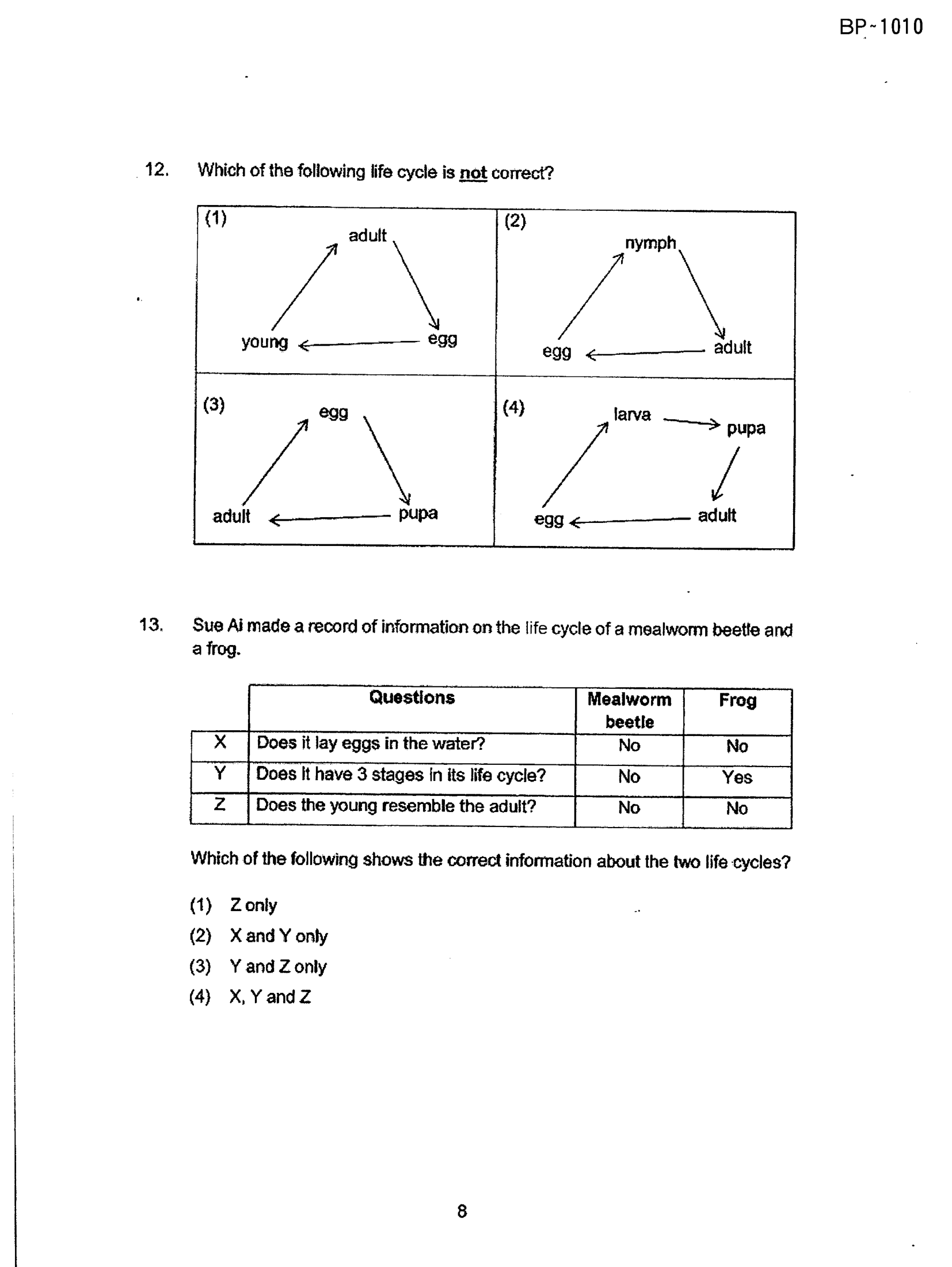 Page 8