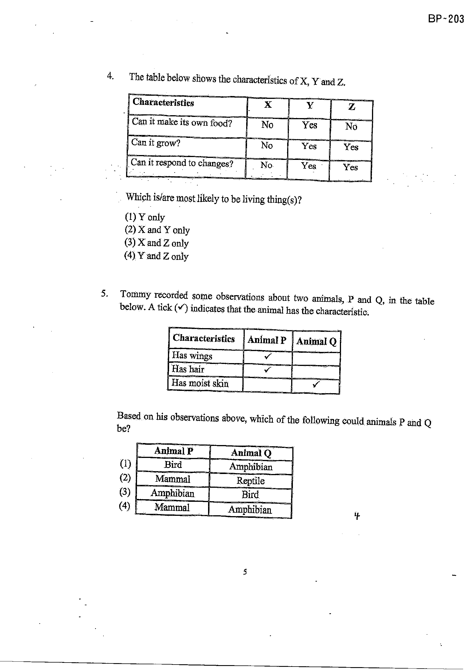 Page 5