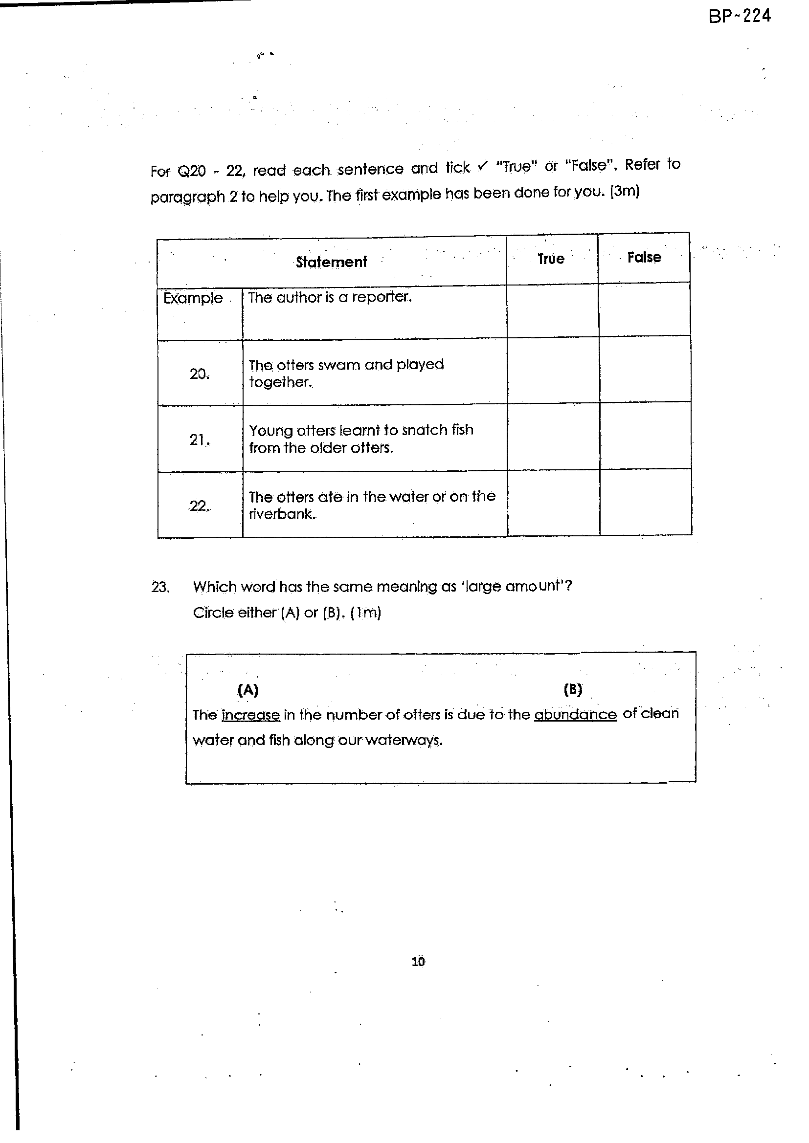 Page 10