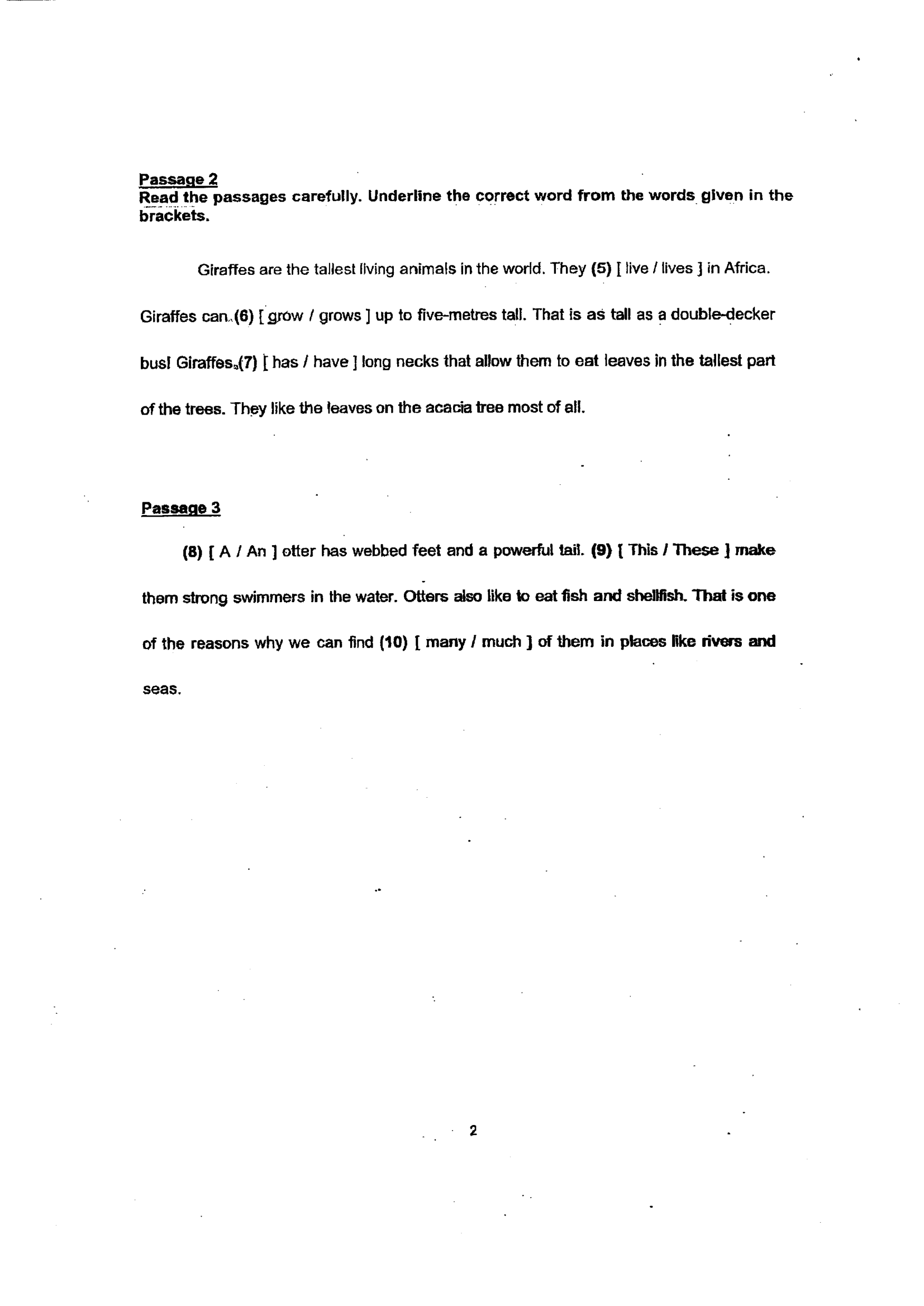 Page 2